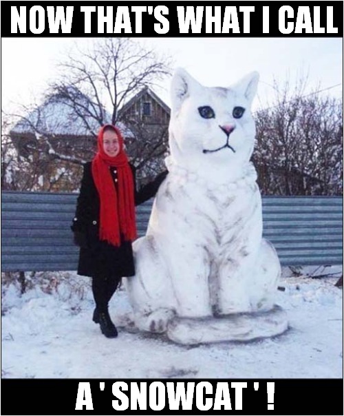 A Christmassy Construction ! |  NOW THAT'S WHAT I CALL; A ' SNOWCAT ' ! | image tagged in cats,now thats what i call,snowman,christmas | made w/ Imgflip meme maker