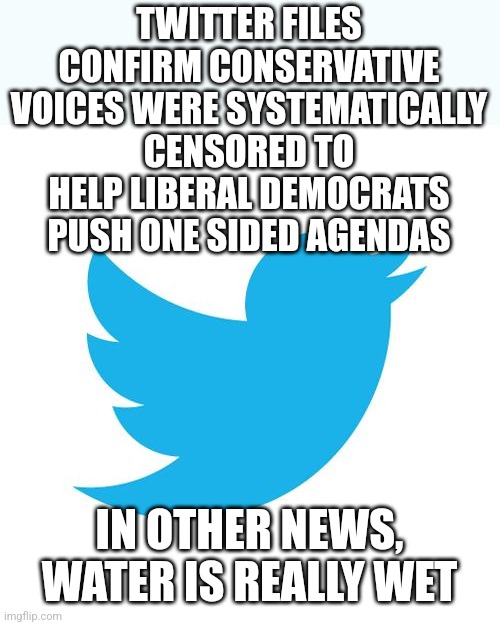 While its nice this news is out, Conservatives already knew this and Liberals don't care. | TWITTER FILES CONFIRM CONSERVATIVE VOICES WERE SYSTEMATICALLY CENSORED TO HELP LIBERAL DEMOCRATS PUSH ONE SIDED AGENDAS; IN OTHER NEWS, WATER IS REALLY WET | image tagged in twitter birds says,breaking news,biased media,stupid liberals,censorship,mind control | made w/ Imgflip meme maker