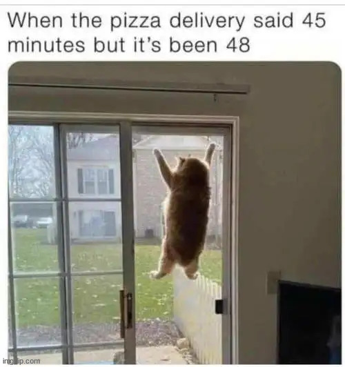 Who doesn't love pizza? | image tagged in pizza | made w/ Imgflip meme maker