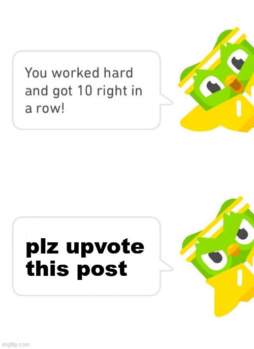 Duolingo 10 in a Row | plz upvote this post | image tagged in duolingo 10 in a row | made w/ Imgflip meme maker