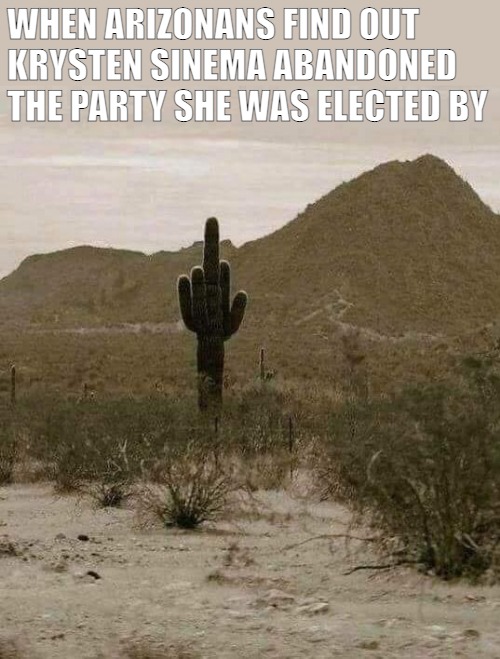 Prick | WHEN ARIZONANS FIND OUT 
KRYSTEN SINEMA ABANDONED THE PARTY SHE WAS ELECTED BY | image tagged in cactus finger,sinema,politics | made w/ Imgflip meme maker