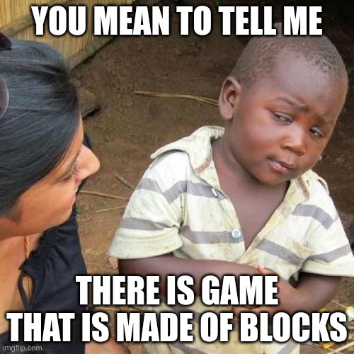 Third World Skeptical Kid Meme | YOU MEAN TO TELL ME; THERE IS GAME THAT IS MADE OF BLOCKS | image tagged in memes,third world skeptical kid | made w/ Imgflip meme maker