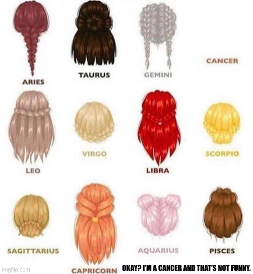 Really? | OKAY? I’M A CANCER AND THAT’S NOT FUNNY. | image tagged in zodiac signs as hair | made w/ Imgflip meme maker
