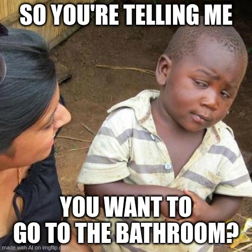 Third World Skeptical Kid | SO YOU'RE TELLING ME; YOU WANT TO GO TO THE BATHROOM? | image tagged in memes,third world skeptical kid | made w/ Imgflip meme maker