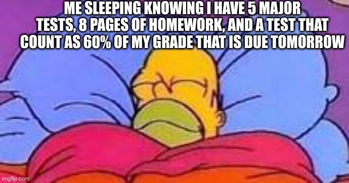 homer sleepi | ME SLEEPING KNOWING I HAVE 5 MAJOR TESTS, 8 PAGES OF HOMEWORK, AND A TEST THAT COUNT AS 60% OF MY GRADE THAT IS DUE TOMORROW | image tagged in homer sleeping | made w/ Imgflip meme maker