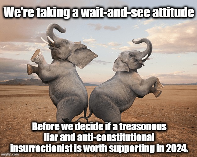 GOP ponders the future | We’re taking a wait-and-see attitude; Before we decide if a treasonous liar and anti-constitutional insurrectionist is worth supporting in 2024. | image tagged in gop,deplorable donald,clown car republicans,donald trump,trump,gop hypocrite | made w/ Imgflip meme maker