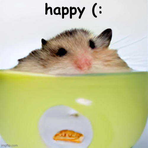 Its happy. | happy (: | image tagged in pets,hamster,funny,a random meme,gaming | made w/ Imgflip meme maker