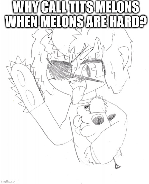 denji and pochita | WHY CALL TITS MELONS WHEN MELONS ARE HARD? | image tagged in denji and pochita | made w/ Imgflip meme maker