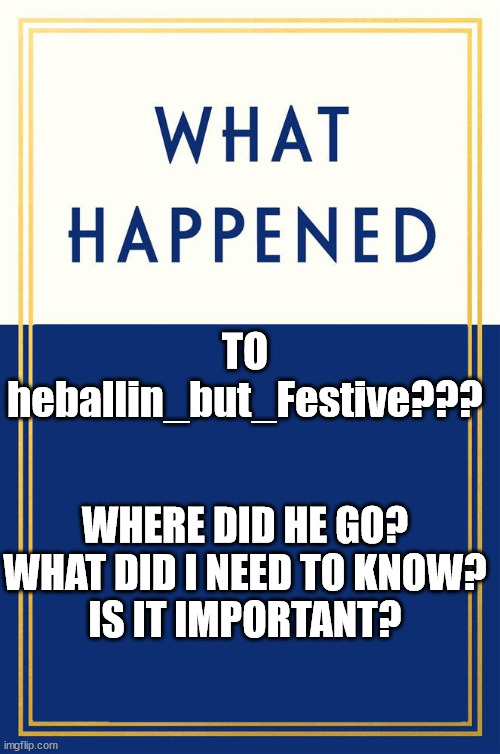 where did you go? | TO
heballin_but_Festive??? WHERE DID HE GO?
WHAT DID I NEED TO KNOW?
IS IT IMPORTANT? | image tagged in what happened blank | made w/ Imgflip meme maker