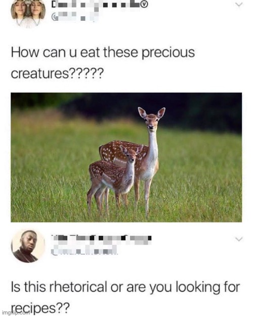 Now I’m hungry | image tagged in comments,funny,animals | made w/ Imgflip meme maker