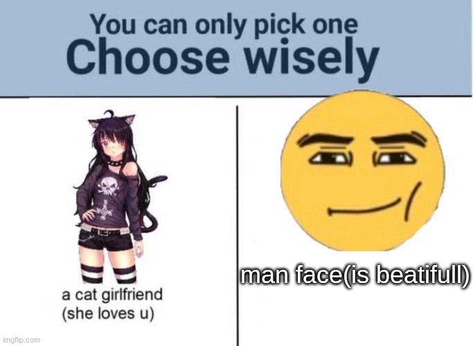 Choose wisely | man face(is beatifull) | image tagged in choose wisely | made w/ Imgflip meme maker
