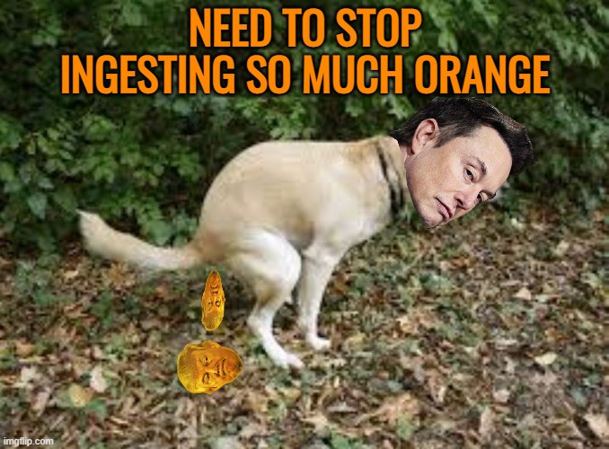 Dog pooping  | NEED TO STOP INGESTING SO MUCH ORANGE | image tagged in dog pooping | made w/ Imgflip meme maker