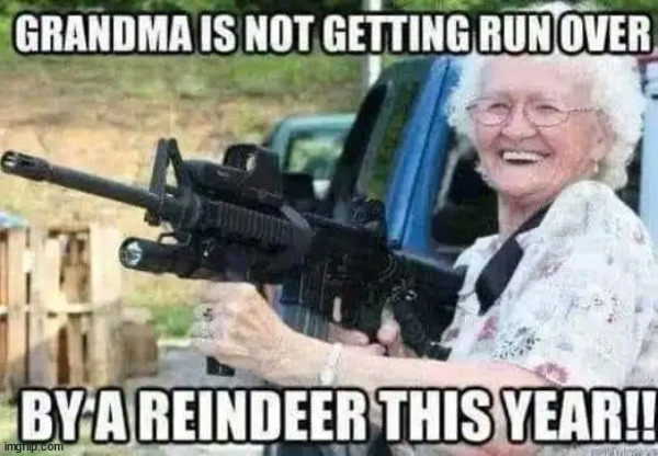Grandma is packing this year... | image tagged in reindeer,grandma | made w/ Imgflip meme maker
