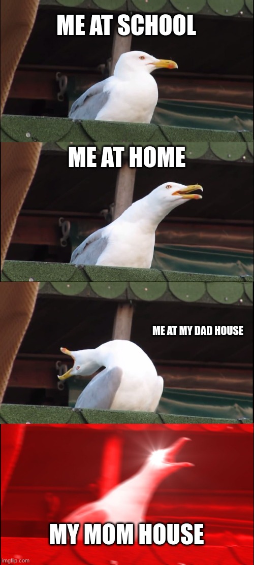 Inhaling Seagull | ME AT SCHOOL; ME AT HOME; ME AT MY DAD HOUSE; MY MOM HOUSE | image tagged in memes,inhaling seagull | made w/ Imgflip meme maker