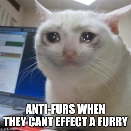 Crying cat | ANTI-FURS WHEN THEY CANT EFFECT A FURRY | image tagged in crying cat | made w/ Imgflip meme maker
