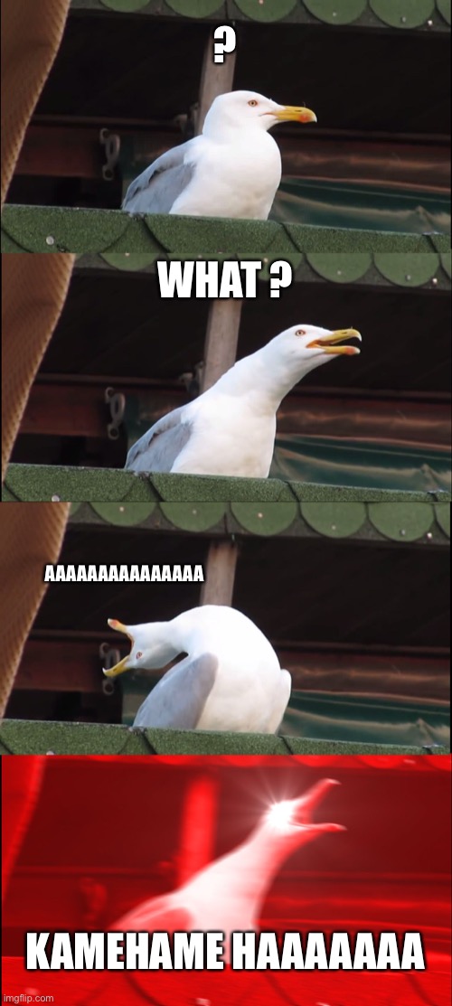 Inhaling Seagull | ? WHAT ? AAAAAAAAAAAAAAA; KAMEHAME HAAAAAAA | image tagged in memes,inhaling seagull | made w/ Imgflip meme maker