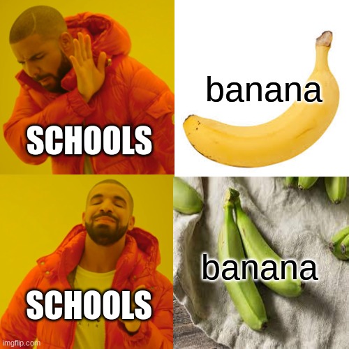 Yeet | banana; SCHOOLS; banana; SCHOOLS | image tagged in memes,drake hotline bling | made w/ Imgflip meme maker