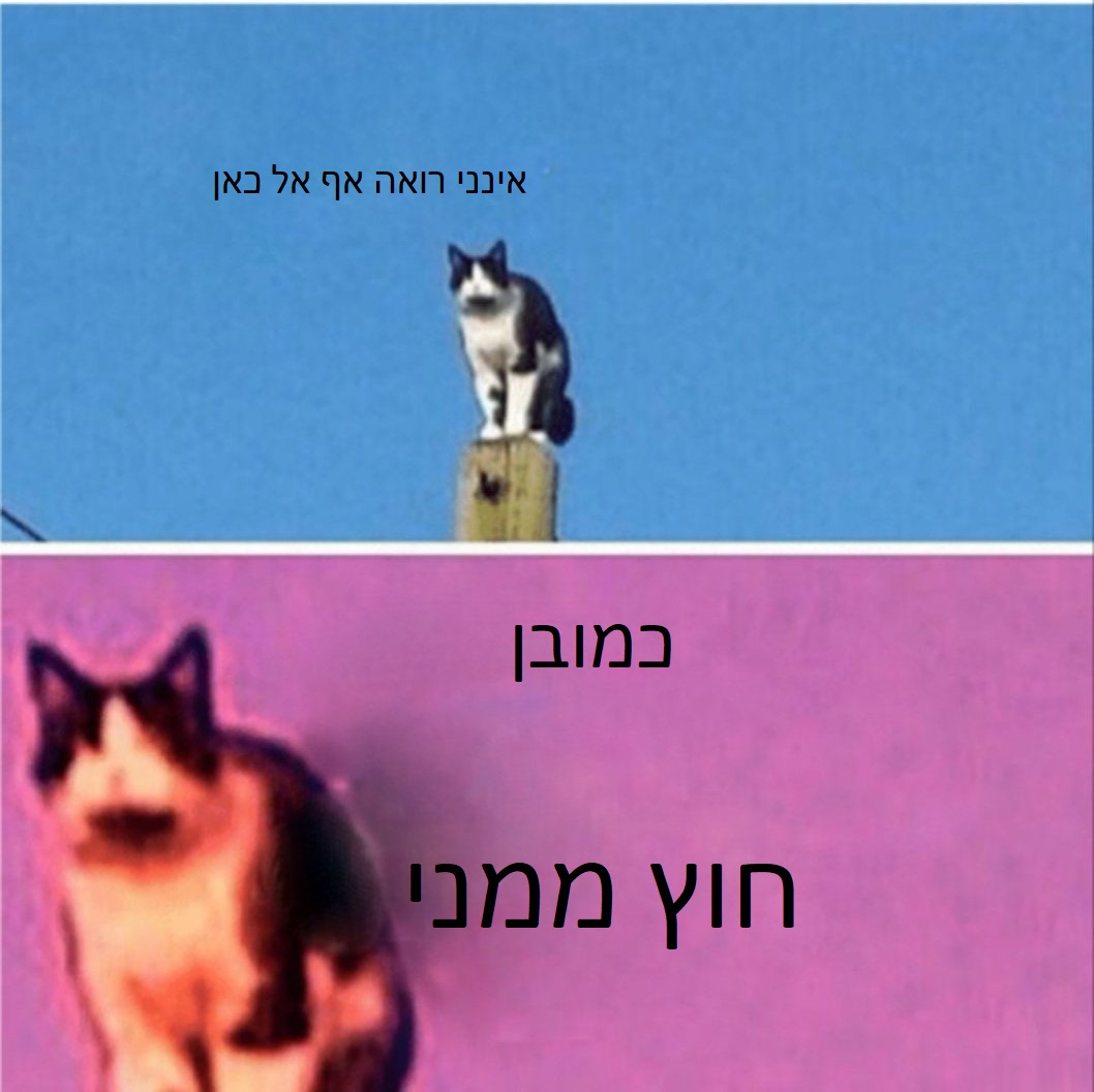 I see no god up here other then me(Hebrew) Blank Meme Template