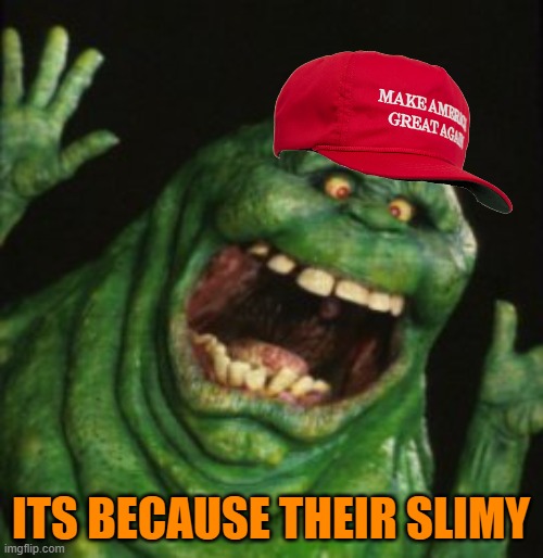 Slimer | ITS BECAUSE THEIR SLIMY | image tagged in slimer | made w/ Imgflip meme maker