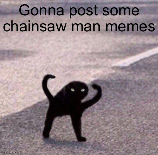 Cursed cat temp | Gonna post some chainsaw man memes | image tagged in cursed cat temp | made w/ Imgflip meme maker