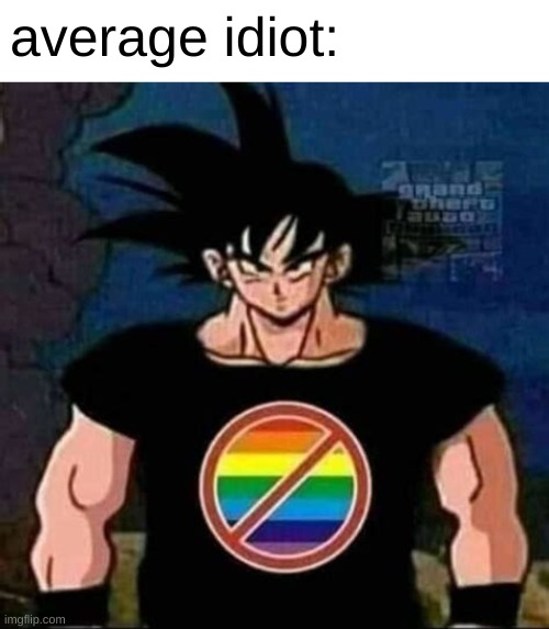 Goku Anti-LGBT | average idiot: | image tagged in goku anti-lgbt | made w/ Imgflip meme maker