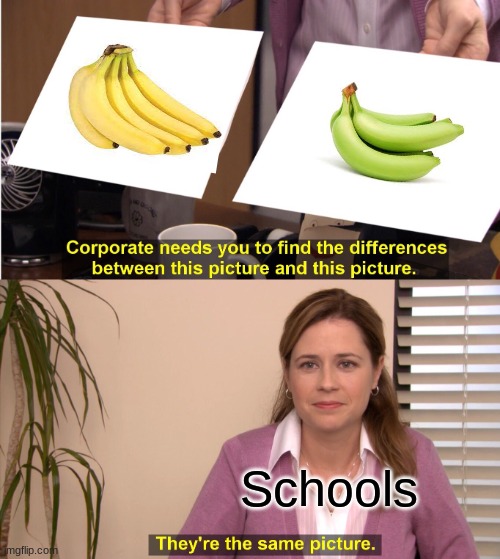 E | Schools | image tagged in memes,they're the same picture | made w/ Imgflip meme maker