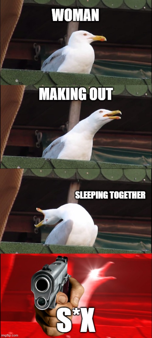 kids be like with romans | WOMAN; MAKING OUT; SLEEPING TOGETHER; S*X | image tagged in memes,inhaling seagull | made w/ Imgflip meme maker