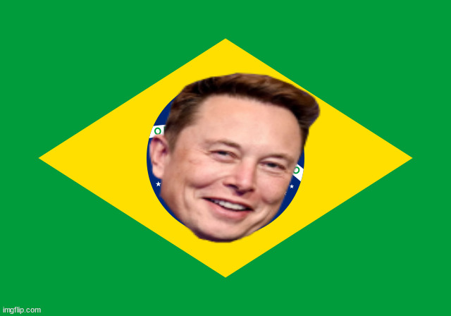 ELON FLAG | image tagged in flag,brazil,elon musk | made w/ Imgflip meme maker