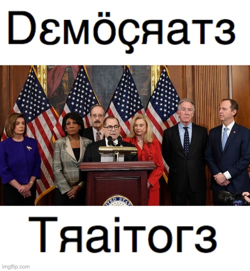 Democrats: The real threat to Democracy ... and Imgflip Snowflakes are a threat too | image tagged in house democrats,rejected in politics | made w/ Imgflip meme maker