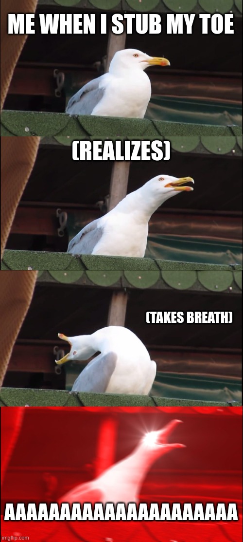 Inhaling Seagull Meme | ME WHEN I STUB MY TOE; (REALIZES); (TAKES BREATH); AAAAAAAAAAAAAAAAAAAAA | image tagged in memes,inhaling seagull | made w/ Imgflip meme maker