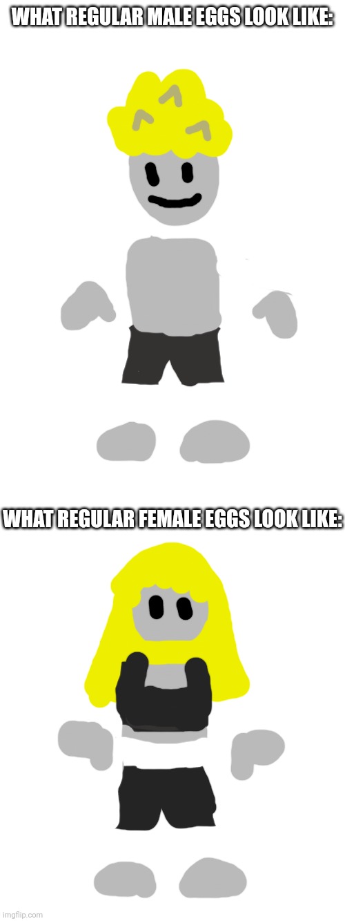 I needed to show exactly what regular Eggs look like (they wear clothes of course) | WHAT REGULAR MALE EGGS LOOK LIKE:; WHAT REGULAR FEMALE EGGS LOOK LIKE: | made w/ Imgflip meme maker