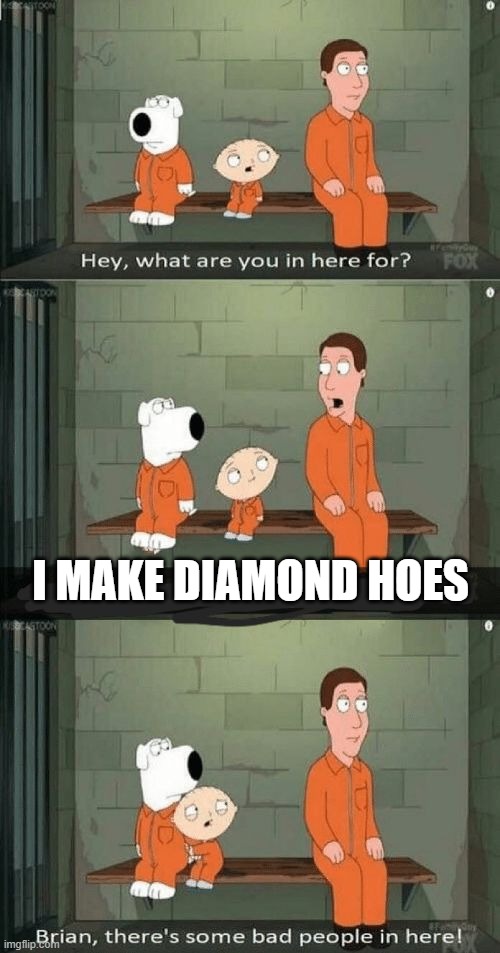 family guy prison | I MAKE DIAMOND HOES | image tagged in family guy prison | made w/ Imgflip meme maker