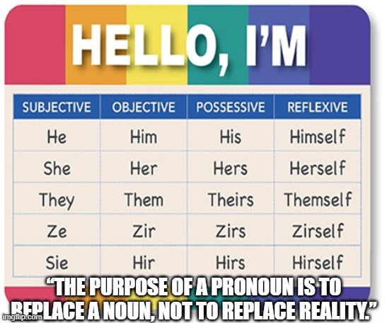 “The purpose of a pronoun is to replace a noun, not to replace reality.” | “THE PURPOSE OF A PRONOUN IS TO REPLACE A NOUN, NOT TO REPLACE REALITY.” | image tagged in pronouns sheet,reality | made w/ Imgflip meme maker