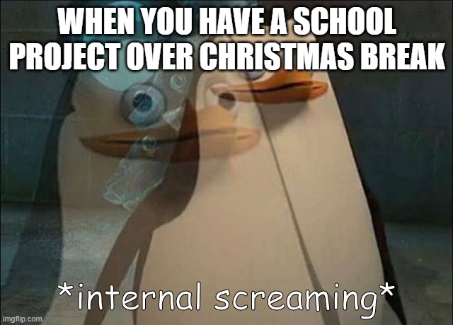 Private Internal Screaming | WHEN YOU HAVE A SCHOOL PROJECT OVER CHRISTMAS BREAK | image tagged in private internal screaming | made w/ Imgflip meme maker