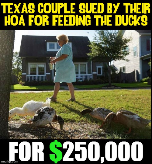 Like a Good Neighbor your HOA is there —to ruin your life | TEXAS COUPLE SUED BY THEIR
HOA FOR FEEDING THE DUCKS; $; FOR $250,000 | image tagged in vince vance,hoa,memes,homeowners association,feeding,ducks | made w/ Imgflip meme maker