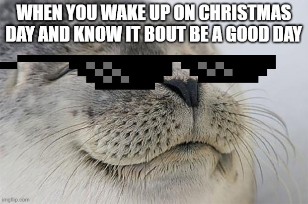 Satisfied Seal Meme | WHEN YOU WAKE UP ON CHRISTMAS DAY AND KNOW IT BOUT BE A GOOD DAY | image tagged in memes,satisfied seal,christmas,funny,cats | made w/ Imgflip meme maker