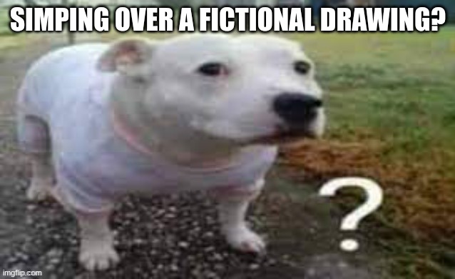 Dog question mark | SIMPING OVER A FICTIONAL DRAWING? | image tagged in dog question mark | made w/ Imgflip meme maker