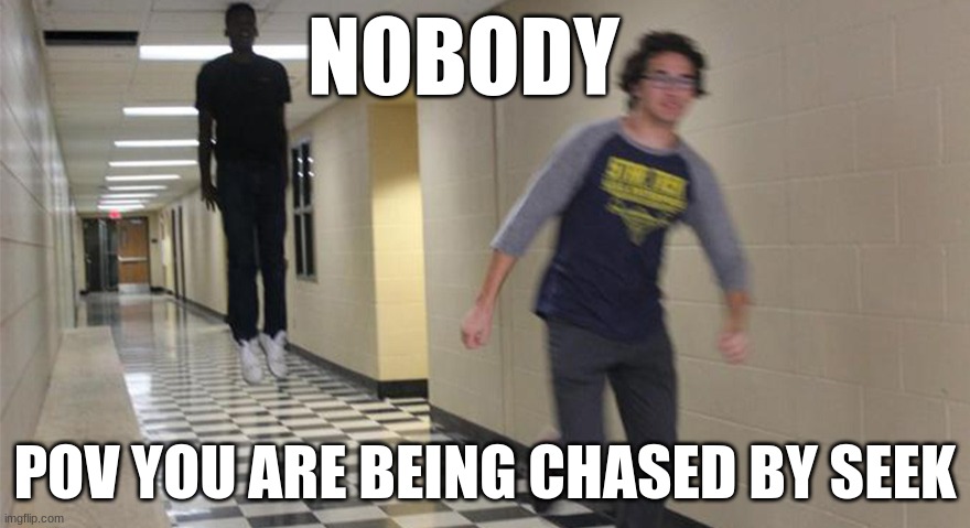 running guy floating | NOBODY; POV YOU ARE BEING CHASED BY SEEK | image tagged in running guy floating | made w/ Imgflip meme maker