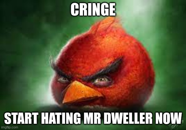 Realistic Red Angry Birds | CRINGE; START HATING MR DWELLER NOW | image tagged in realistic red angry birds | made w/ Imgflip meme maker