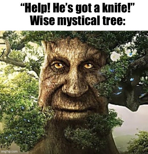 If you are atleast 14 and have a computer you should get this game | “Help! He’s got a knife!”

Wise mystical tree: | image tagged in must-play tree,wise mystical tree,random,dank,meme,funny | made w/ Imgflip meme maker