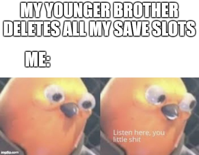 lol why me | MY YOUNGER BROTHER DELETES ALL MY SAVE SLOTS; ME: | image tagged in gaming | made w/ Imgflip meme maker
