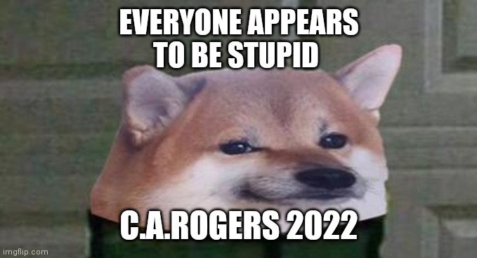 NAFO Fella | EVERYONE APPEARS
TO BE STUPID; C.A.ROGERS 2022 | image tagged in nafo fella | made w/ Imgflip meme maker