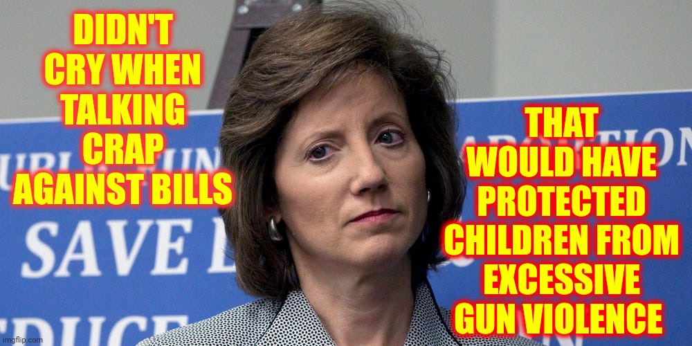 HYPOCRITE! | THAT WOULD HAVE PROTECTED CHILDREN FROM EXCESSIVE GUN VIOLENCE; DIDN'T CRY WHEN TALKING CRAP AGAINST BILLS | image tagged in bitch,hypocrite,fake tears,bullshit,special kind of stupid,memes | made w/ Imgflip meme maker