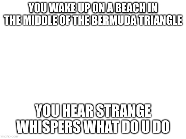 what do u do | YOU WAKE UP ON A BEACH IN THE MIDDLE OF THE BERMUDA TRIANGLE; YOU HEAR STRANGE WHISPERS WHAT DO U DO | made w/ Imgflip meme maker