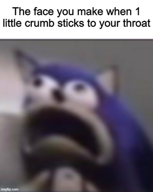 *coughing intensifies* | The face you make when 1 little crumb sticks to your throat | image tagged in sonic meme | made w/ Imgflip meme maker