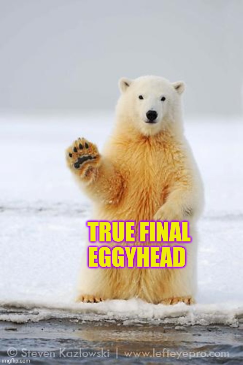 hello polar bear | TRUE FINAL EGGYHEAD | image tagged in hello polar bear | made w/ Imgflip meme maker