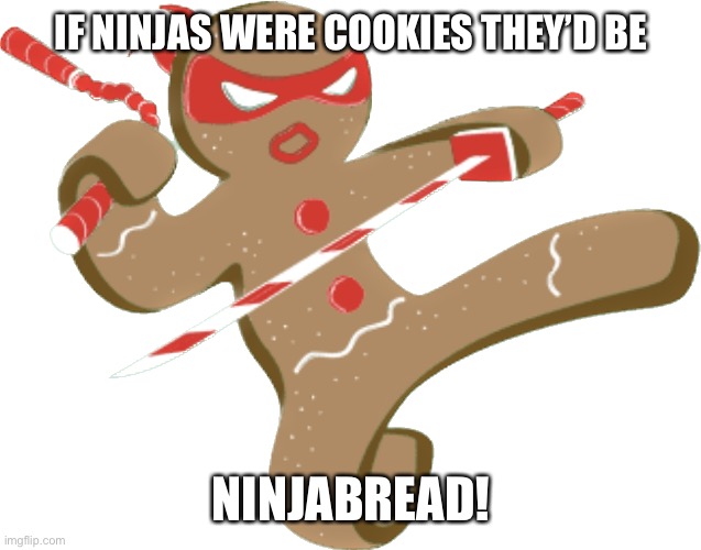 Ninjabread | IF NINJAS WERE COOKIES THEY’D BE; NINJABREAD! | image tagged in ninja,cookies,gingerbread man,gingerbread | made w/ Imgflip meme maker