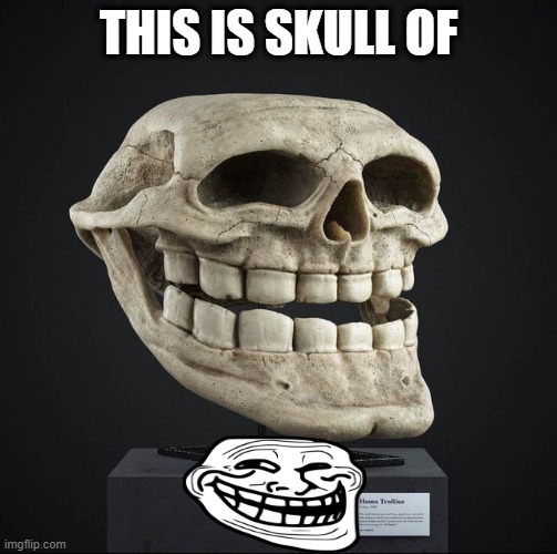 trollface skull | THIS IS SKULL OF | image tagged in trollface,skull | made w/ Imgflip meme maker