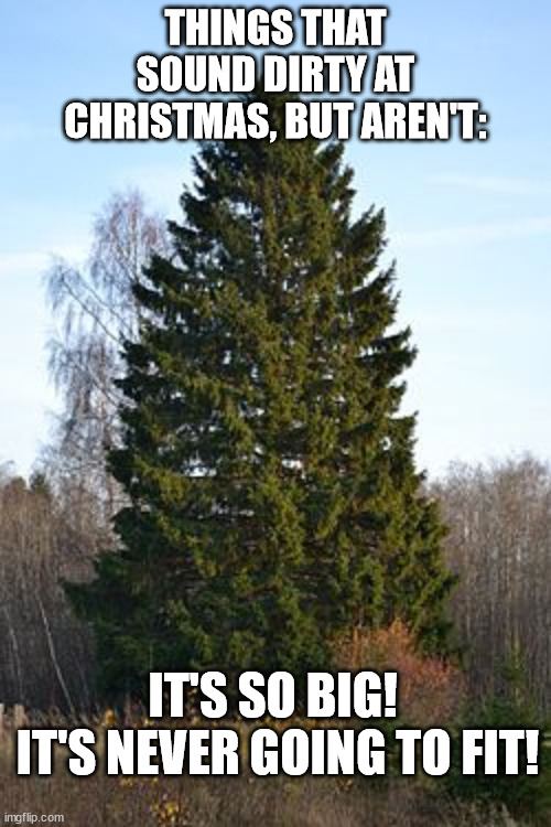 Things That Sound Dirty At Christmas | THINGS THAT SOUND DIRTY AT CHRISTMAS, BUT AREN'T:; IT'S SO BIG! 
IT'S NEVER GOING TO FIT! | image tagged in christmas tree,humor,funny,pun,double entendre | made w/ Imgflip meme maker