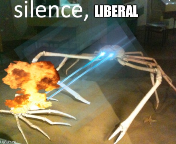 LIBERAL | made w/ Imgflip meme maker